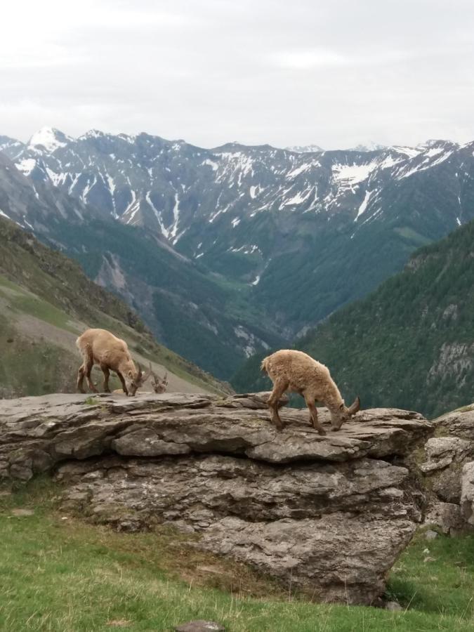 Vacances A La Montagne Saint-Julien-en-Champsaur Zewnętrze zdjęcie